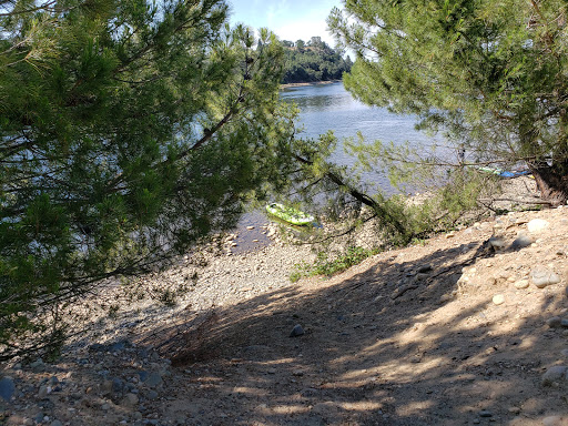 Lake Natoma Island - Thumbnail