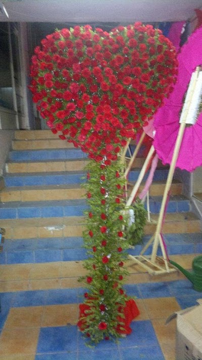 Photos of Beyza Ticaret