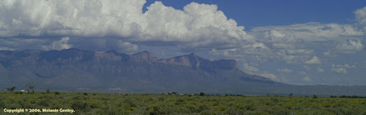 Recordell Fields - Visual