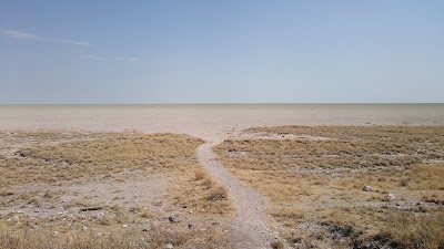 Photos of Picnic Spot