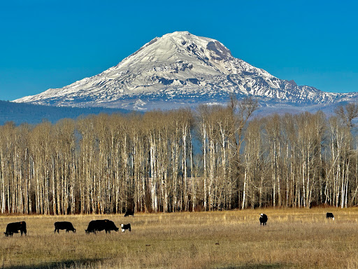 Guler Mt. Adams Park - Thumbnail