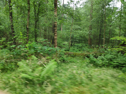 MTB Route Lunteren (startpunt) - Thumbnail