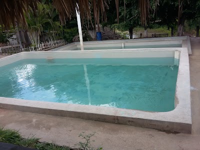 Photos of Ba&ntilde;os Termales El Brasilar