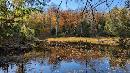 Snake Mountain Trail - Thumbnail