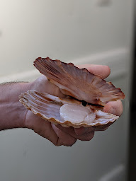 Photo n°88 de Chez Dupont à Bordeaux (Brasserie)