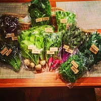 LOG CAMP ログ キャンプ