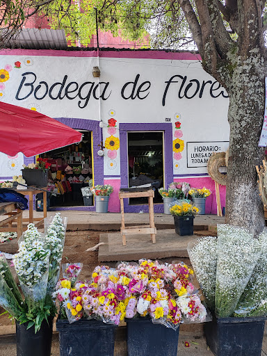 Flores rojas