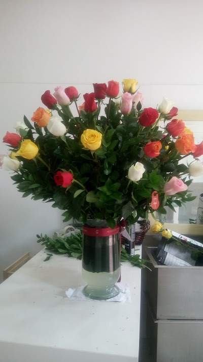 Photos of ROSAS DEL PINAR