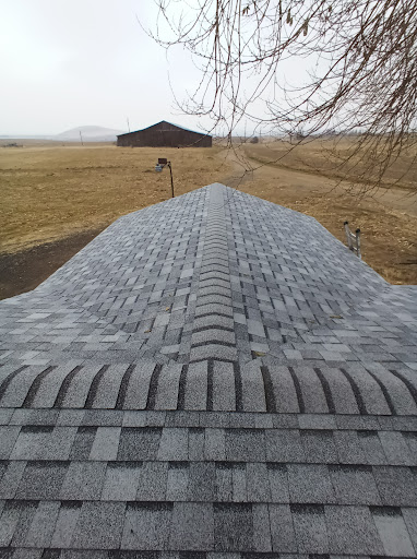Roofing and more by Frank Solutions - Thumbnail