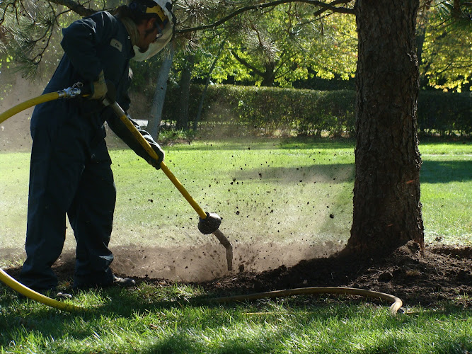 PlanIt Tree & Shrub Care