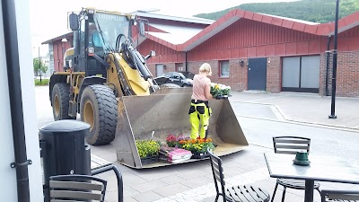 Photos of &Aring;lingen mall