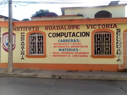 Instituto Guadalupe Victoria - Mexico