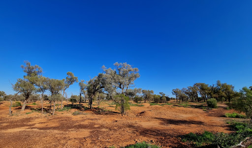 Yowah Fossicking Area