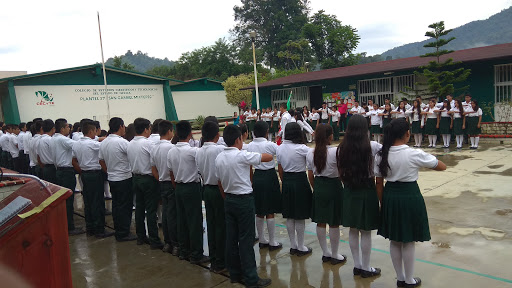 Colegio de Estudios Científicos y Tecnológicos Plantel 37 - Thumbnail