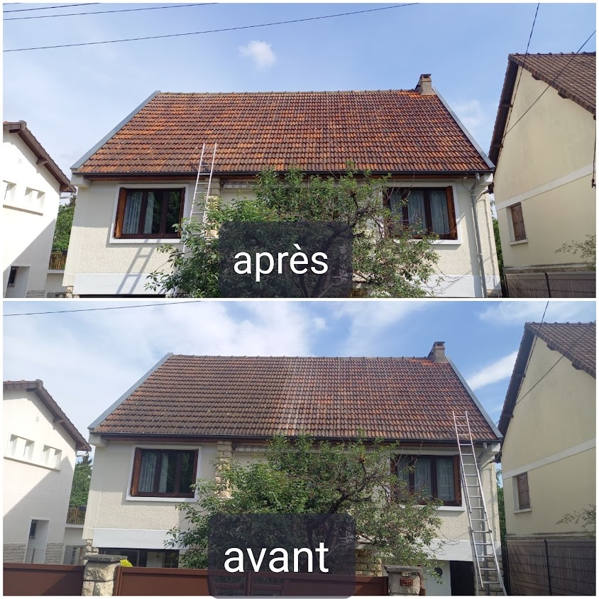 Entreprise Menard, COUVREUR DEMOUSSAGE RAVALEMENT NETTOYAGE TOITURE ORSAY 91