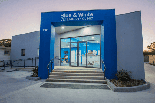 Blue & White Veterinary Clinic