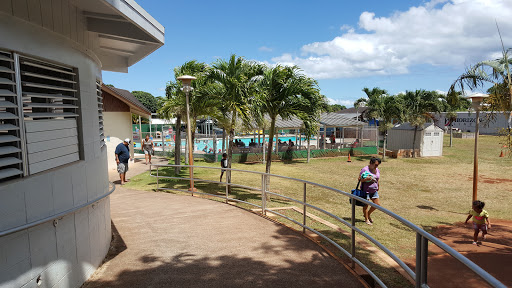 Lēʻahi Swim School Gallery - United States