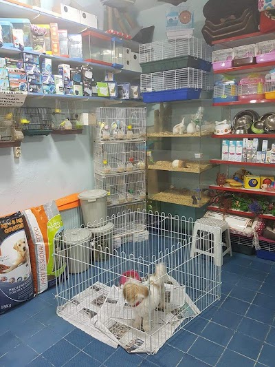 Missy Pet Shop