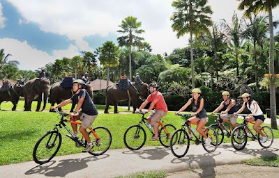 Photos of Individual Bali Hospitality