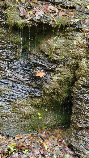 Jefferson National Forest - Thumbnail