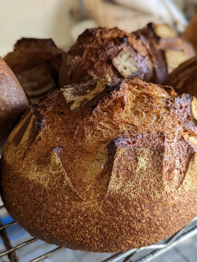 Roger's Bakery photo 2