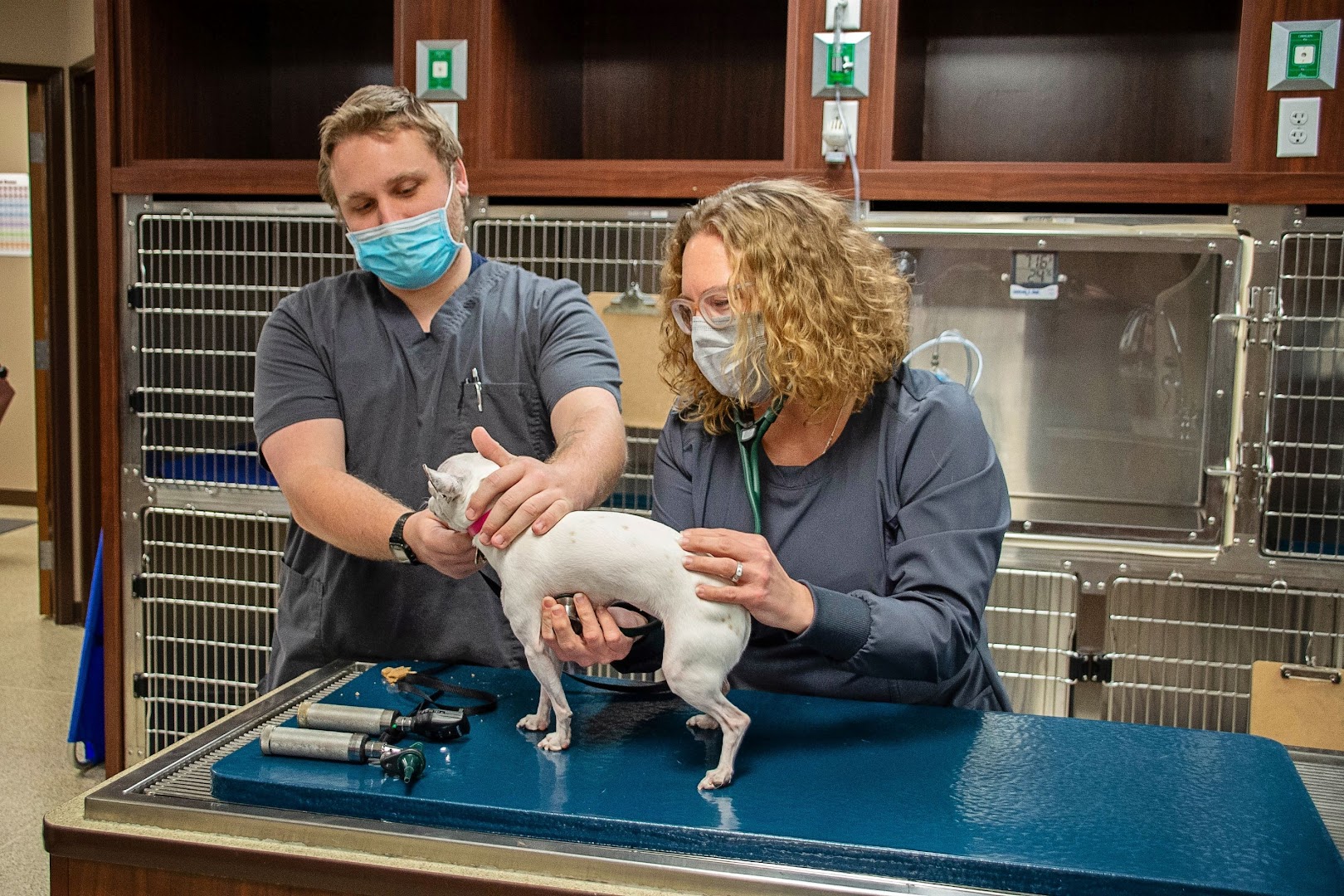 Barker Animal Hospital