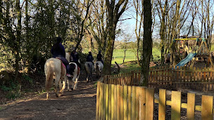 Photo n°12 de Parc Rêver Réalité à Jullouville (Centre équestre)