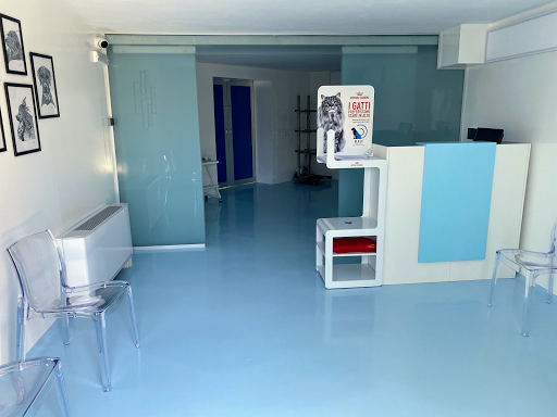 Centro Diagnostico Veterinario Bergamo Est - Thumbnail
