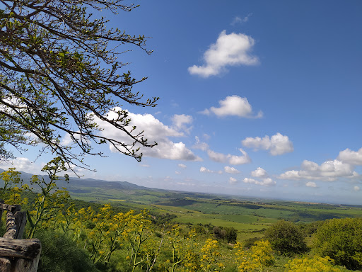 Parco di Poggio della Rotonda - Thumbnail