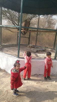 Safari Zoo rawalpindi Apechs