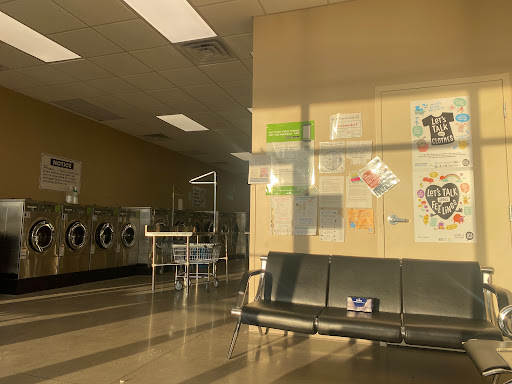 Boyne Laundry - Visual
