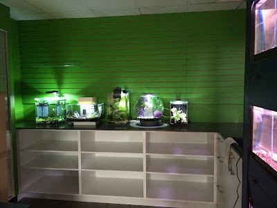 Photos of Boutique Au Poil