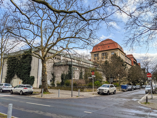 Reinhold-Otto-Grundschule - Thumbnail