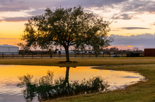 Mallard Lake Detox Drug & Alcohol Rehab
