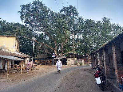 Photos of থানতলা