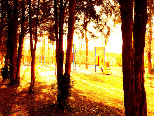 Villa Crescente - Thumbnail