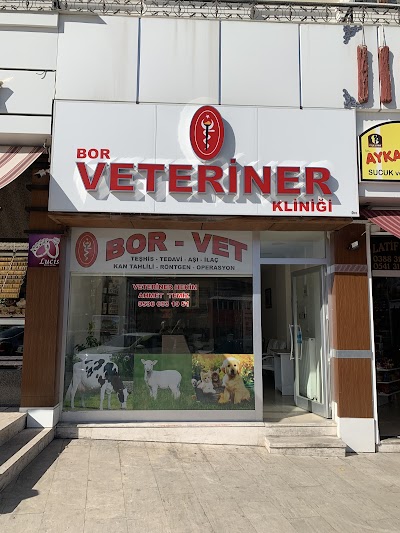 Bor-Vet Veteriner Kliniği