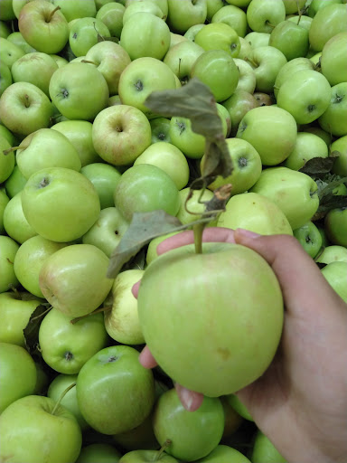 Jerry’s Fruit Market and Bakery - Thumbnail