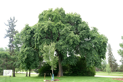 Lakeland College Arboretum - Thumbnail