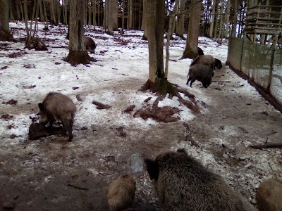 Photos of Wildpark Germerode
