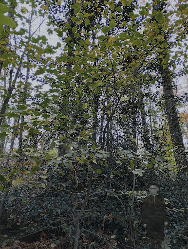 Teufelswald - Thumbnail