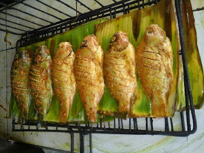 pet-store