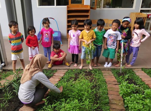 Green Montessori School, Author: Green Montessori School