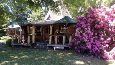 Photos of Donde Manolo
