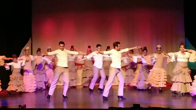 Centro Cultural de Samora Correia - Escola de dança