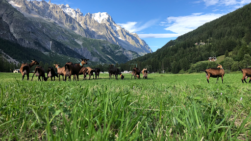 Società agricola Mont Blanc