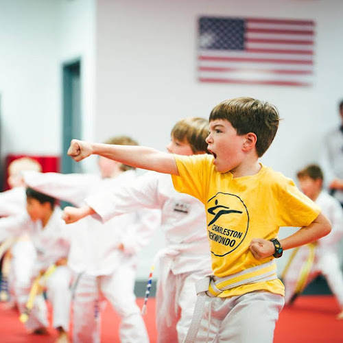 Charleston Taekwondo - Mount Pleasant - taekwondo in Mt Pleasant, South Carolina