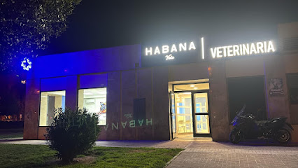 Habana Vets Fuenlabrada — Veterinarios en Fuenlabrada