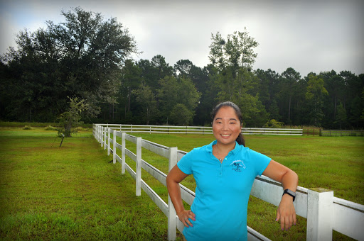 Myrtle Beach Equine Clinic Gallery - United States