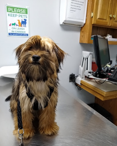 Hamilton Veterinary Hospital - Thumbnail